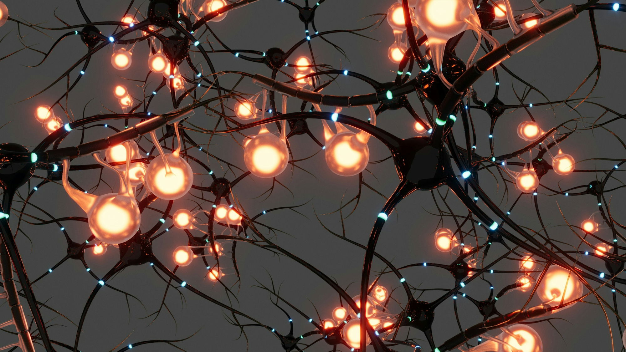 a-bunch-of-lights-that-are-on-a-tree.jpg A bunch of lights that are on a tree